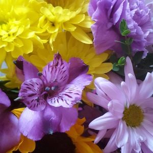 Meet your Posher, Skye